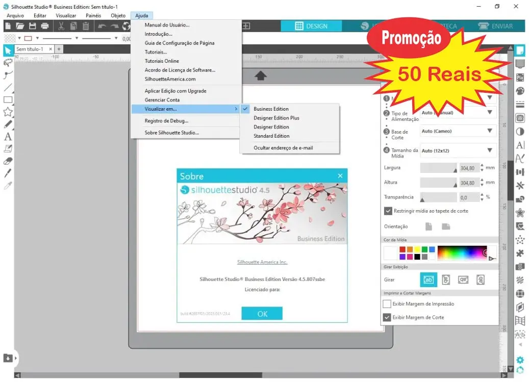 Silhouette Studio Business Edition 